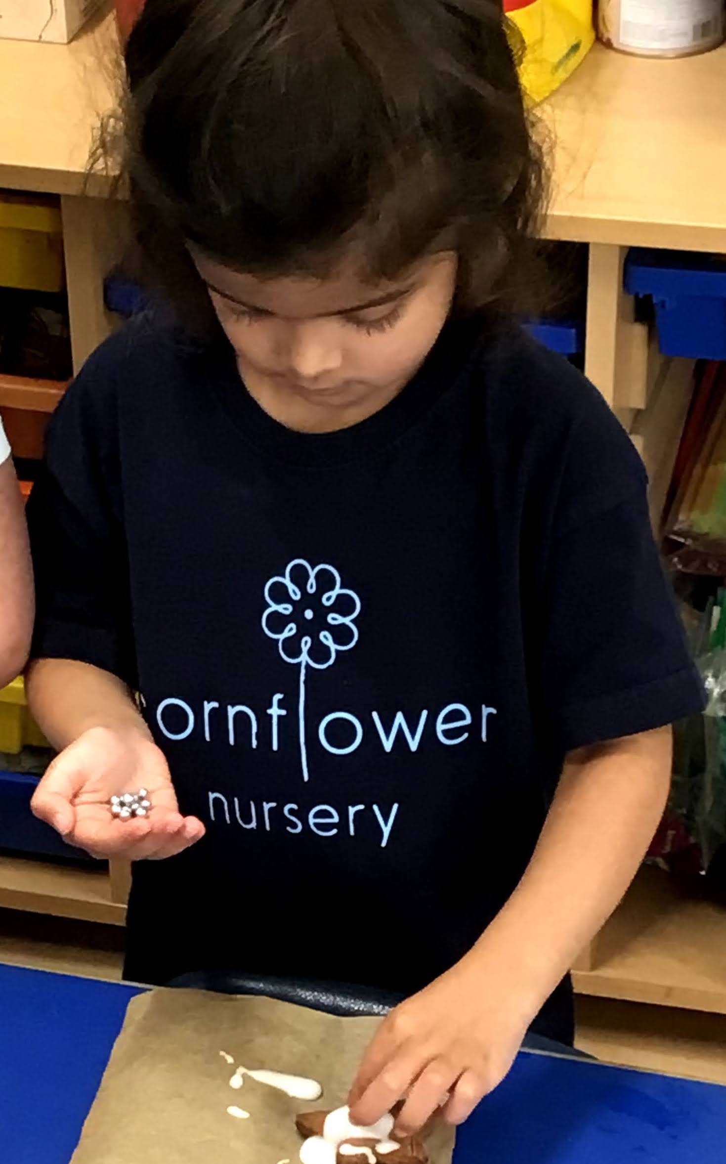 Cornflower Nursery